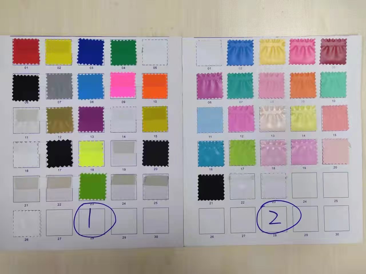 Accessory) inflatable/Plush SPH #1